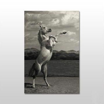 Technopa Şaha Kalkan At 140x70 cm Kanvas Tablo
