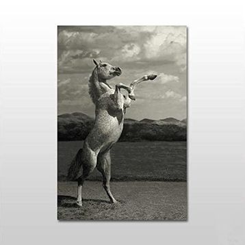 Technopa Şaha Kalkan At 140x70 cm Kanvas Tablo