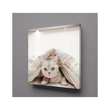 Technopa Sevimli Kedi 40x40 cm Kanvas Tablo