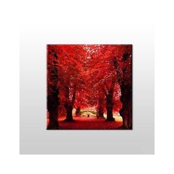 Technopa Sonbahar Ağaçlar 70x70 cm Kanvas Tablo