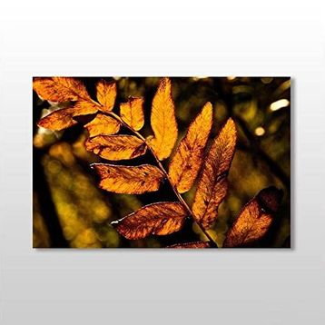 Technopa Sonbahar Yaprak 75x50 cm Kanvas Tablo