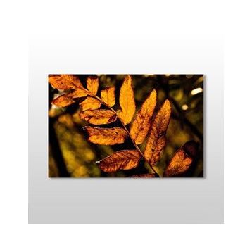 Technopa Sonbahar Yaprak 90x60 cm Kanvas Tablo