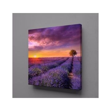 Technopa Sümbül Tarlası 30x30 cm Kanvas Tablo