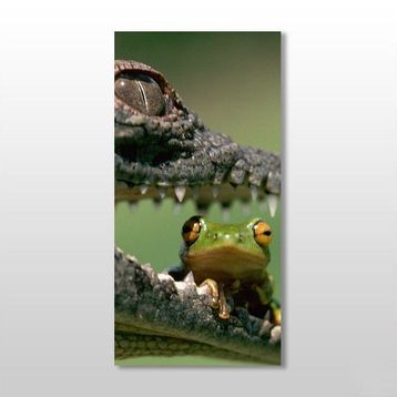 Technopa Timsah ve Kurbağa 40x60 cm Kanvas Tablo