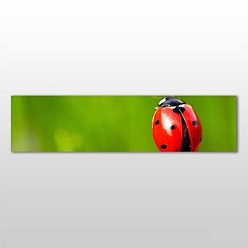 Technopa Uğur Böceği 240x80 cm Kanvas Tablo