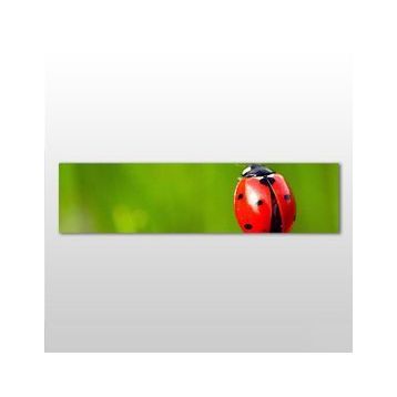 Technopa Uğur Böceği 60x20 cm Kanvas Tablo