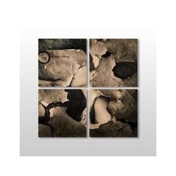 Technopa Yaprak 70x70 cm Kanvas Tablo