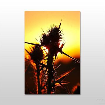 Technopa Yelkenli 140x70 cm Kanvas Tablo