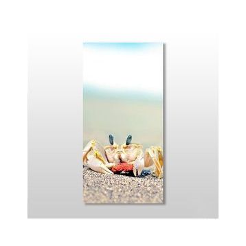 Technopa Yengeç 60x90 cm Kanvas Tablo
