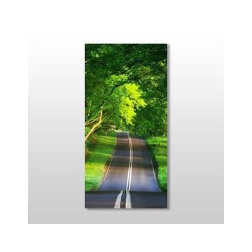Technopa Yeşil Yol 60x90 cm Kanvas Tablo