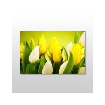 Technopa Zambak 90x60 cm Kanvas Tablo
