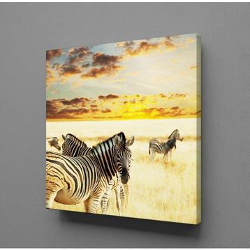 Technopa Zebra 120x60 cm Kanvas Tablo