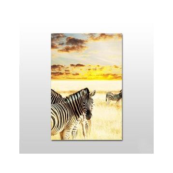 Technopa Zebra 120x60 cm Kanvas Tablo