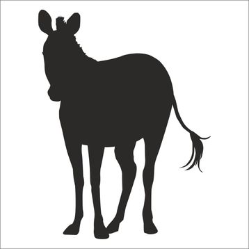 Technopa Zebra 200 cm Folyo Duvar Stickerı