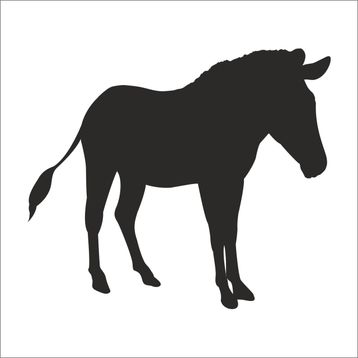 Technopa Zebra 60 cm Folyo Duvar Stickerı