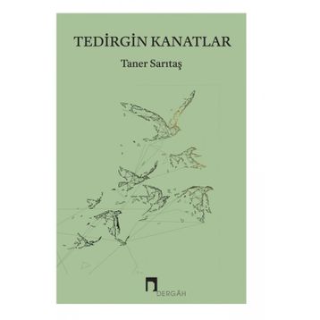 Tedirgin Kanatlar - Taner Sarıtaş