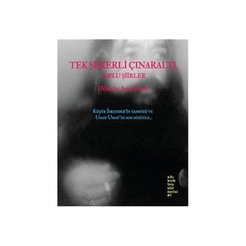 TEK ŞEKERLI ÇINARALTI - HÜSEYIN AVNI DEDE