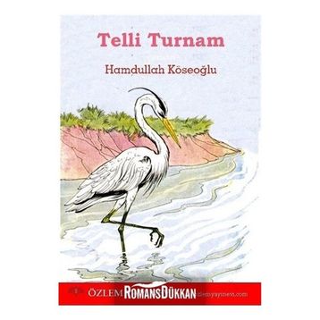 Telli Turnam - Hamdullah Köseoğlu