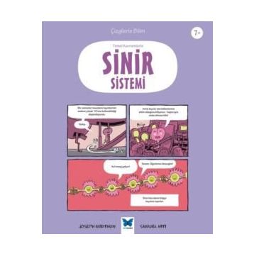 Temel Kavramlarla Sinir Sistemi Joseph Midthun Mavi Kelebek Yayınları