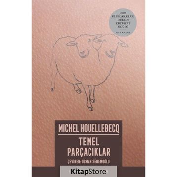 TEMEL PARÇACIKLAR - MICHEL HOUELLEBECQ