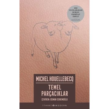 TEMEL PARÇACIKLAR - MICHEL HOUELLEBECQ