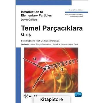 Temel Parçacıklara Giriş - David Griffiths