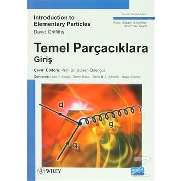 Temel Parçacıklara Giriş - David Griffiths