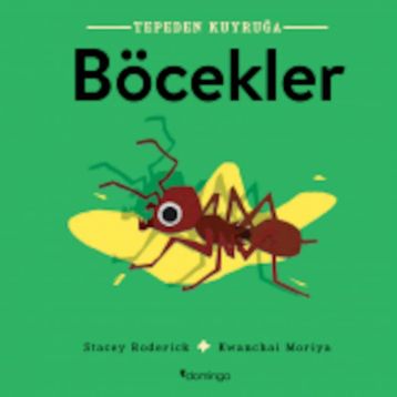 Tepeden Kuyruğa-Böcekler - Stacey Roderick