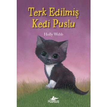 Terk Edilmiş Kedi Puslu - Holly Webb