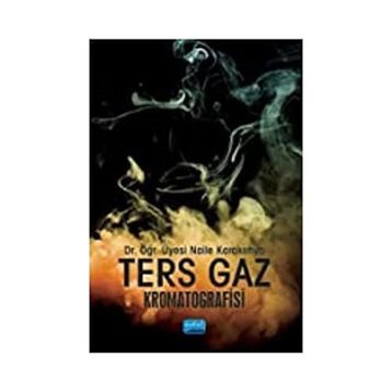 Ters Gaz Kromatografisi - Naile Karakehya