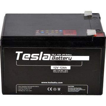 Tesla AGM Kuru Tip 12 V 12 Ah Akü