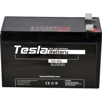 Tesla AGM Kuru Tip 12 V 9 Ah Akü