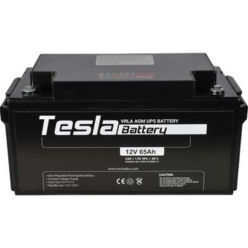 Tesla AGM Kuru Tip UPS 12 V 65 Ah Akü