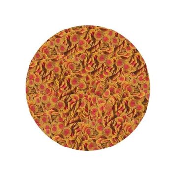 Tetra 100 gr Pro Colour Cips Balık Yemi