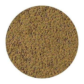 Tetra 250 gr Pleco Veggie Wafers Çöpçü Vatoz Yemi