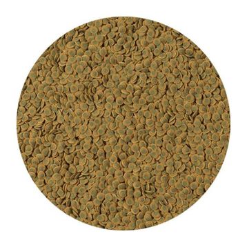 Tetra 250 gr Pleco Veggie Wafers Çöpçü Vatoz Yemi