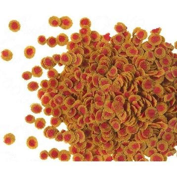 Tetra 500 gr Pro Colour Balık Yemi