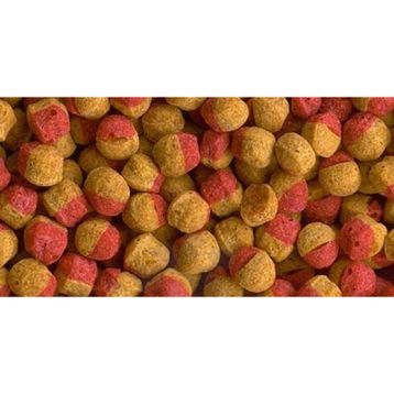 Tetra Cichlid Colour Mini Granules 100 gr Balık Yemi