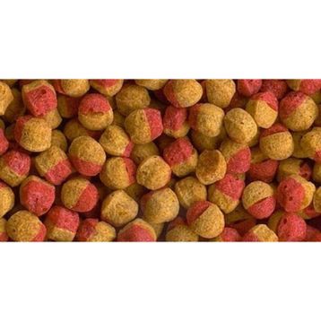 Tetra Cichlid Colour Mini Granules 100 gr Balık Yemi