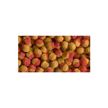 Tetra Cichlid Colour Mini Granules 100 gr Balık Yemi