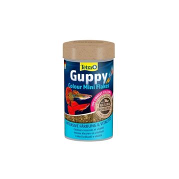 Tetra Guppy Colour Mini Flakes Lepistes Pul 100 ml Balık Yemi