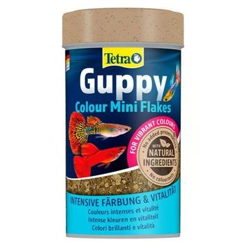 Tetra Guppy Colour Mini Flakes Lepistes Pul 100 ml Balık Yemi