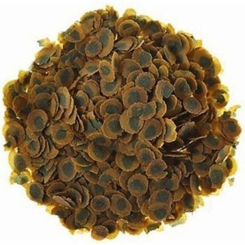 Tetra Pro Algae 250 gr Bitkisel Cichlid Kovadan Bölme Balık Yemi