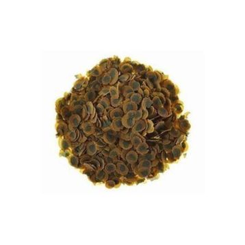 Tetra Pro Algea 250 gr Balık Yemi