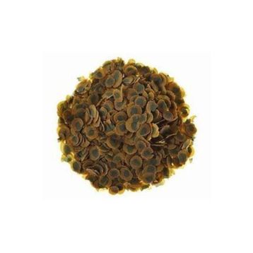 Tetra Pro Algea 250 gr Balık Yemi