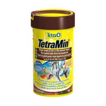 Tetramin Flakes Pul 100 ml /20 gr Balık Yemi