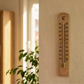 TFA 12.1004 Tahta Termometre