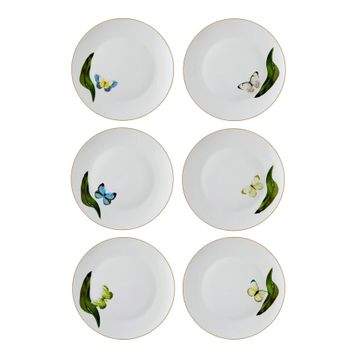 The Mia Folium 6 Kişilik Servis Tabağı