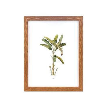 The Mia Vimini Kahverengi 40x50 cm Fotoğraf Çerçevesi