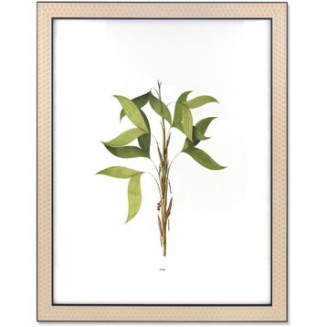 The Mia Vimini Siyah 40x50 cm Fotoğraf Çerçevesi
